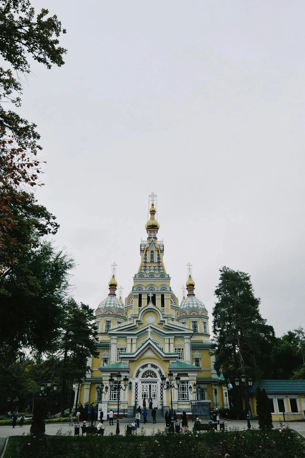 Main Image