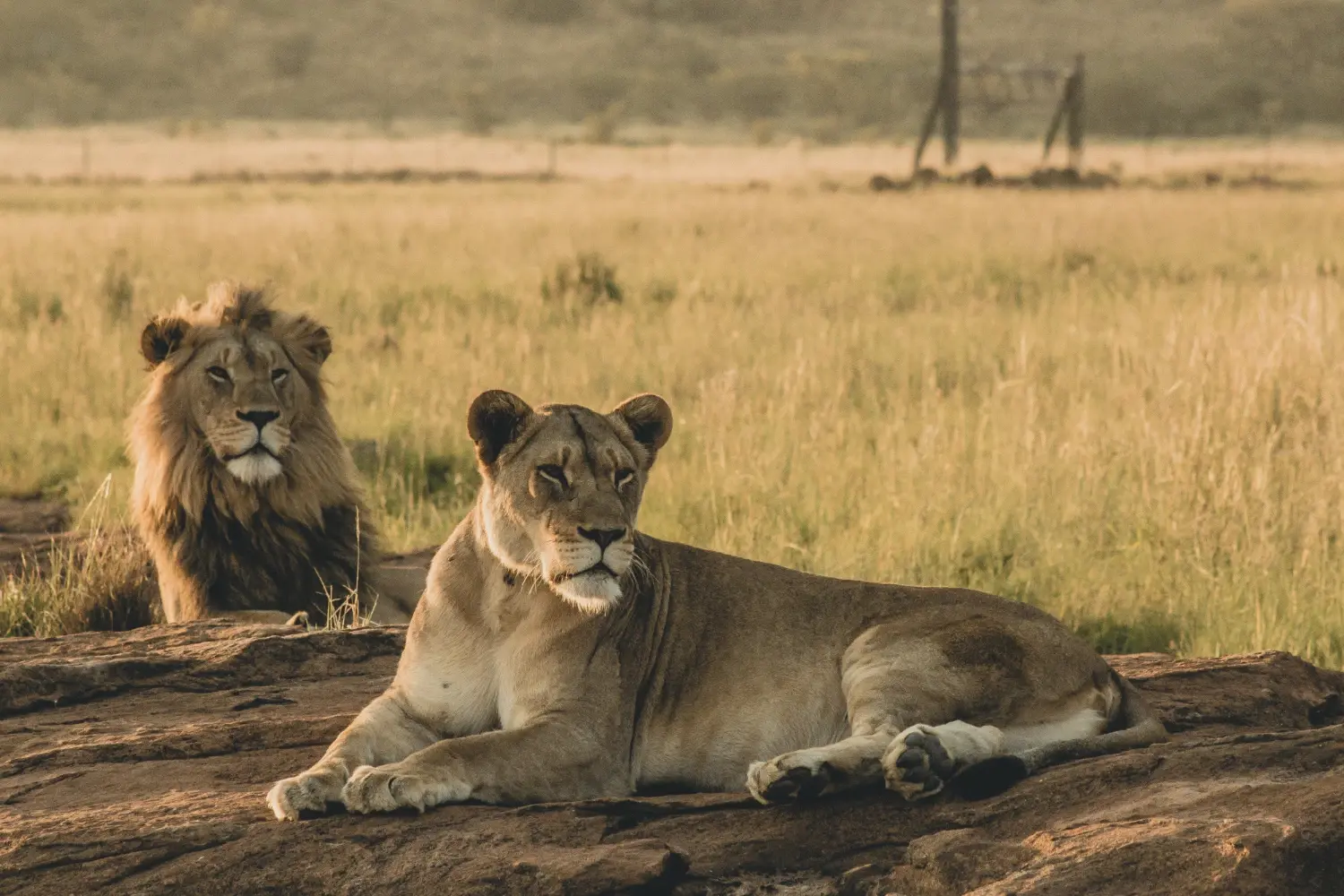 Tanzania Tour Packages from Oman
