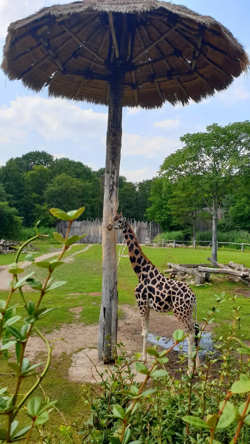 Casela Nature Park