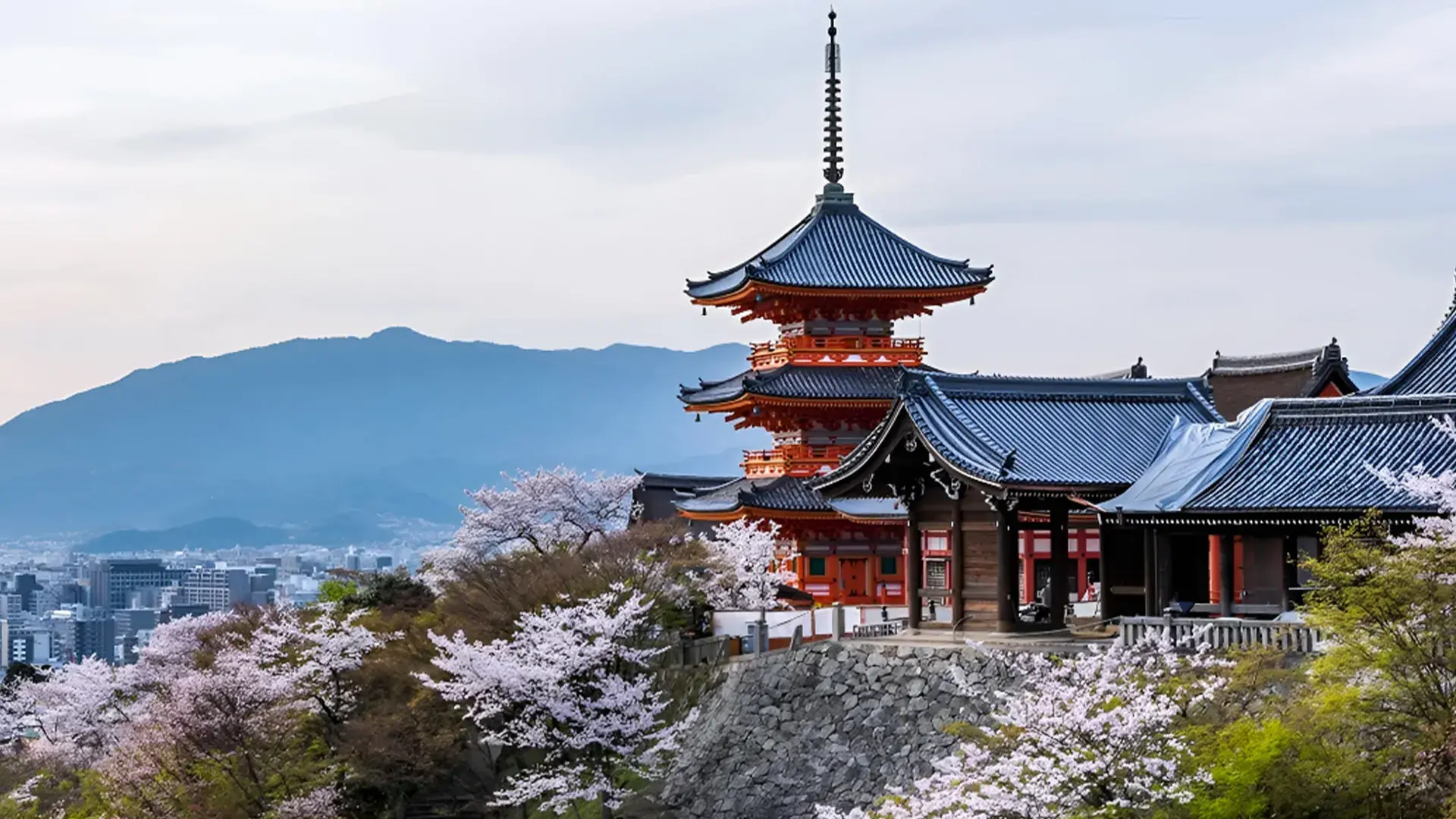 Japan Cherry Blossom Tour Package - 9 Days (Tokyo-Kobe)