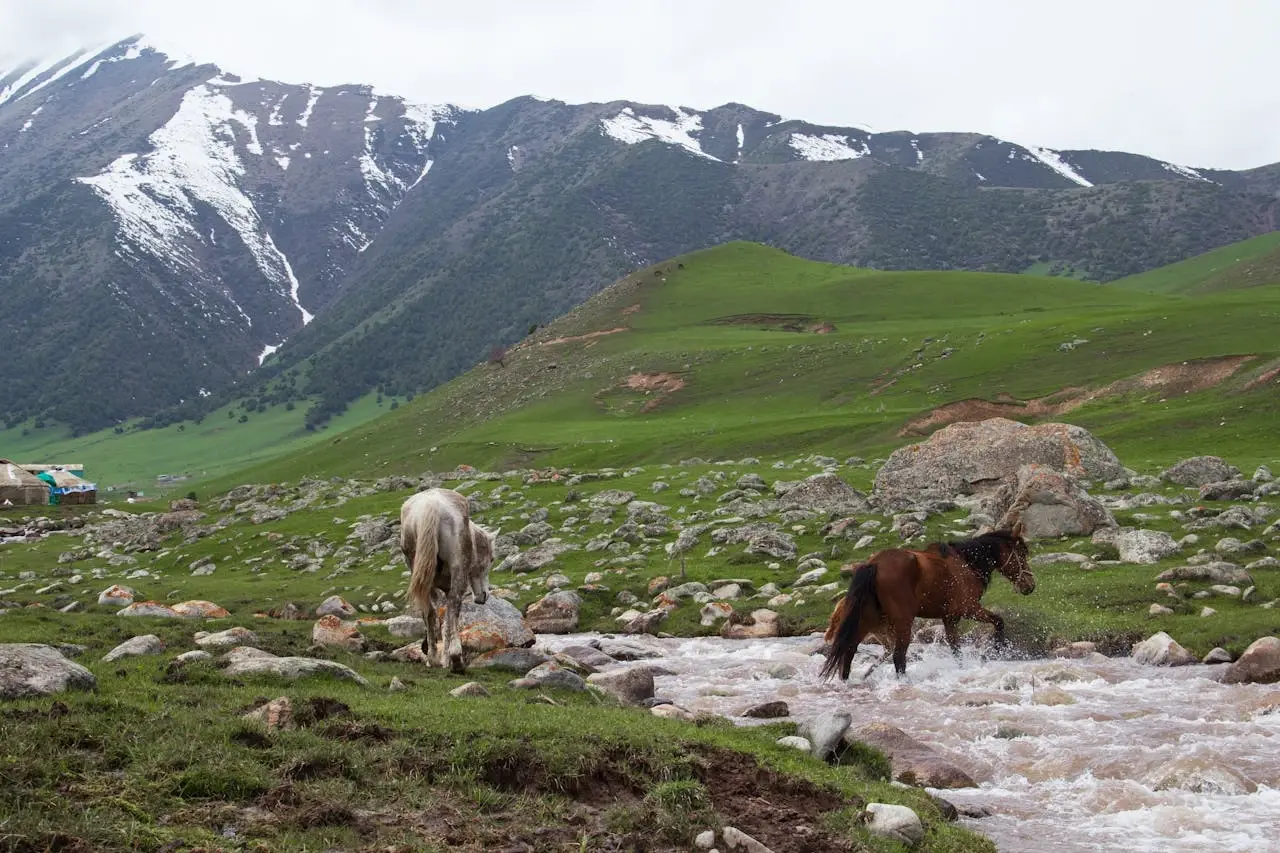 Kyrgyzstan Tour Packages