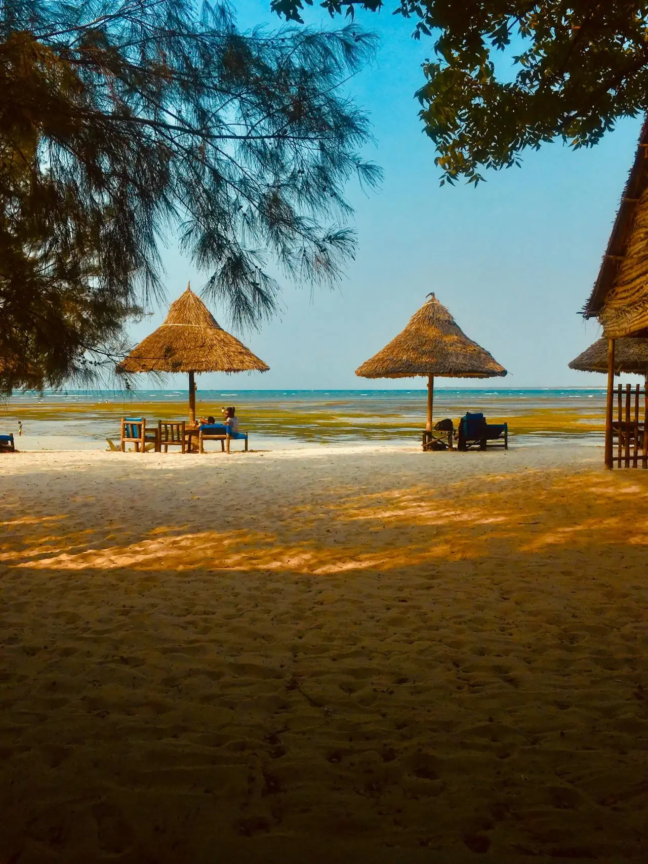 Zanzibar Tour Packages
