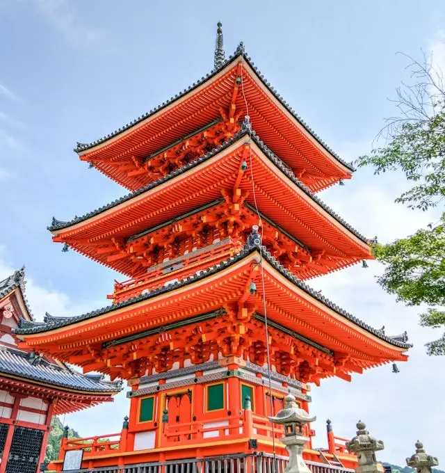 Japan Cherry Blossom Package Oman