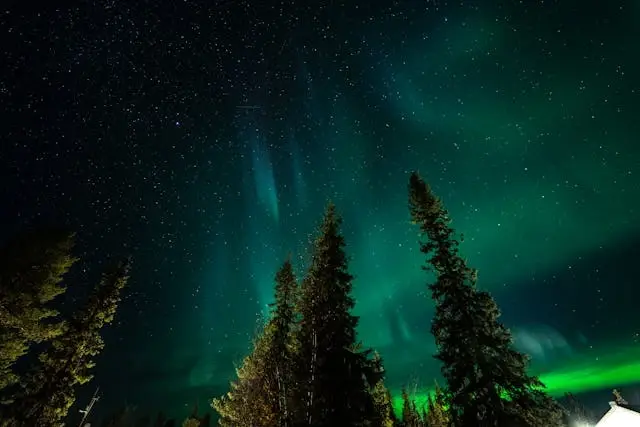Northern Lights Safari
