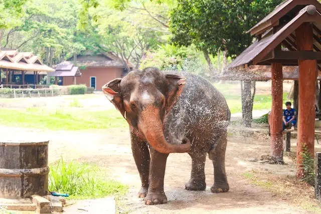 Safari World