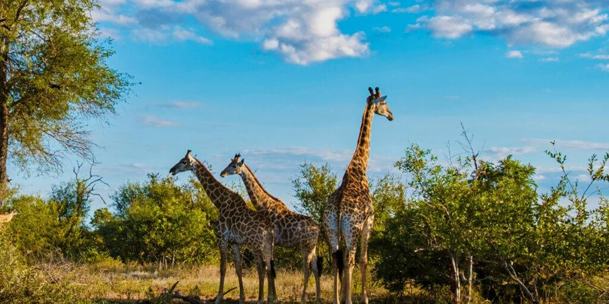 Tourist Attractions in South Africa