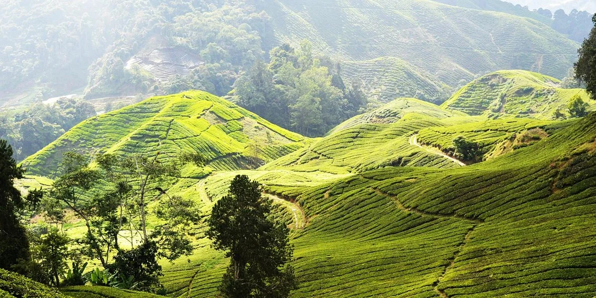 Instagrammable Places to visit in Malaysia