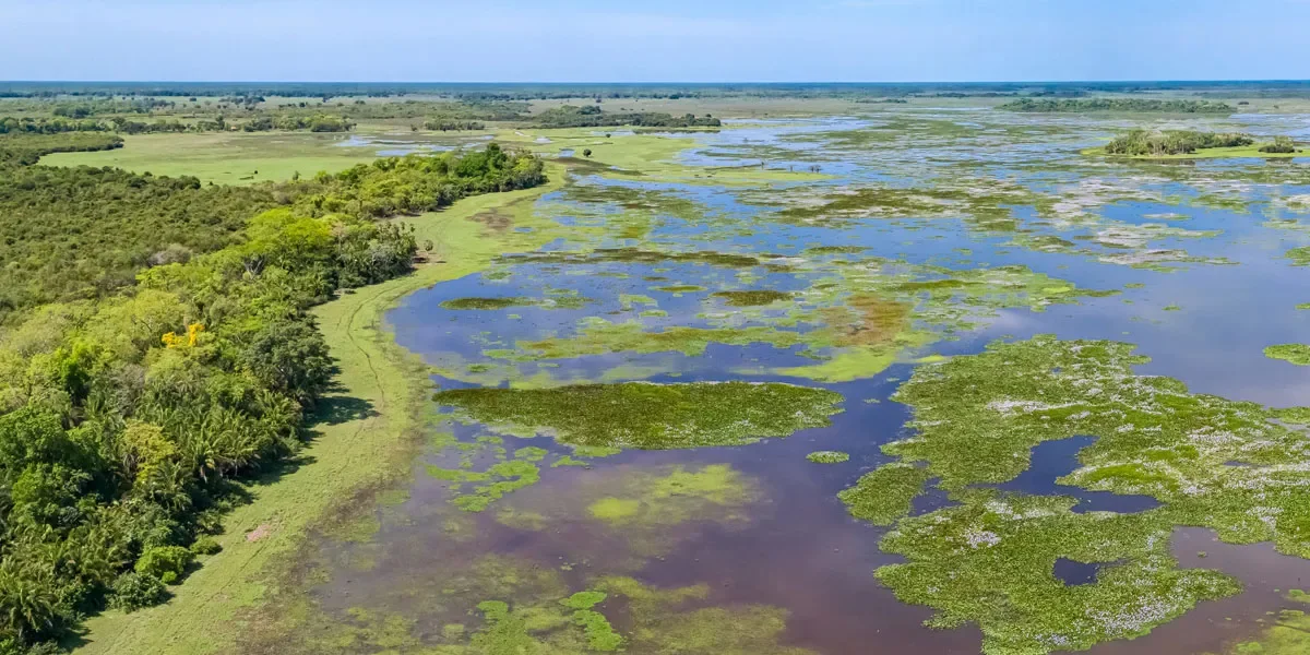 Places to Explore in Brazil