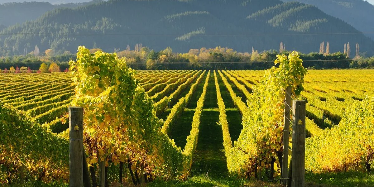 Kakheti – Wine Country