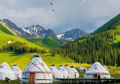 Incredible Spots to Visit in Mongolia