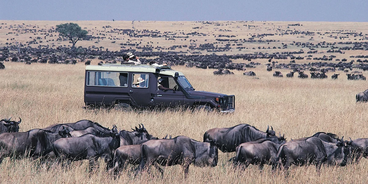 Tourist Attractions to visit in Kenya