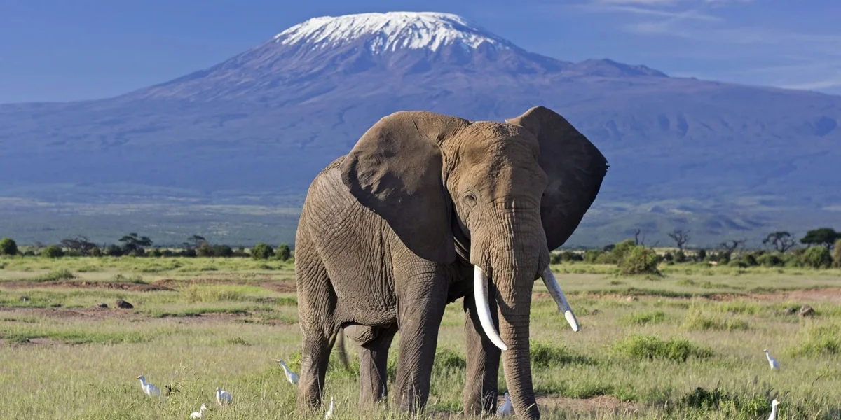 Tourist Attractions to visit in Kenya