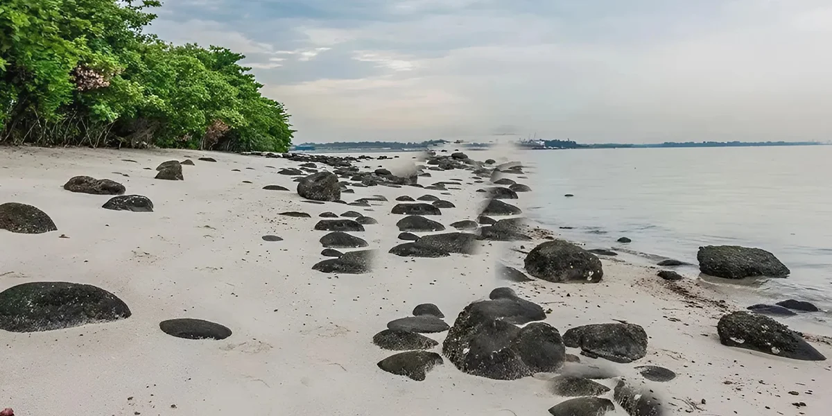 Best Beaches In Singapore