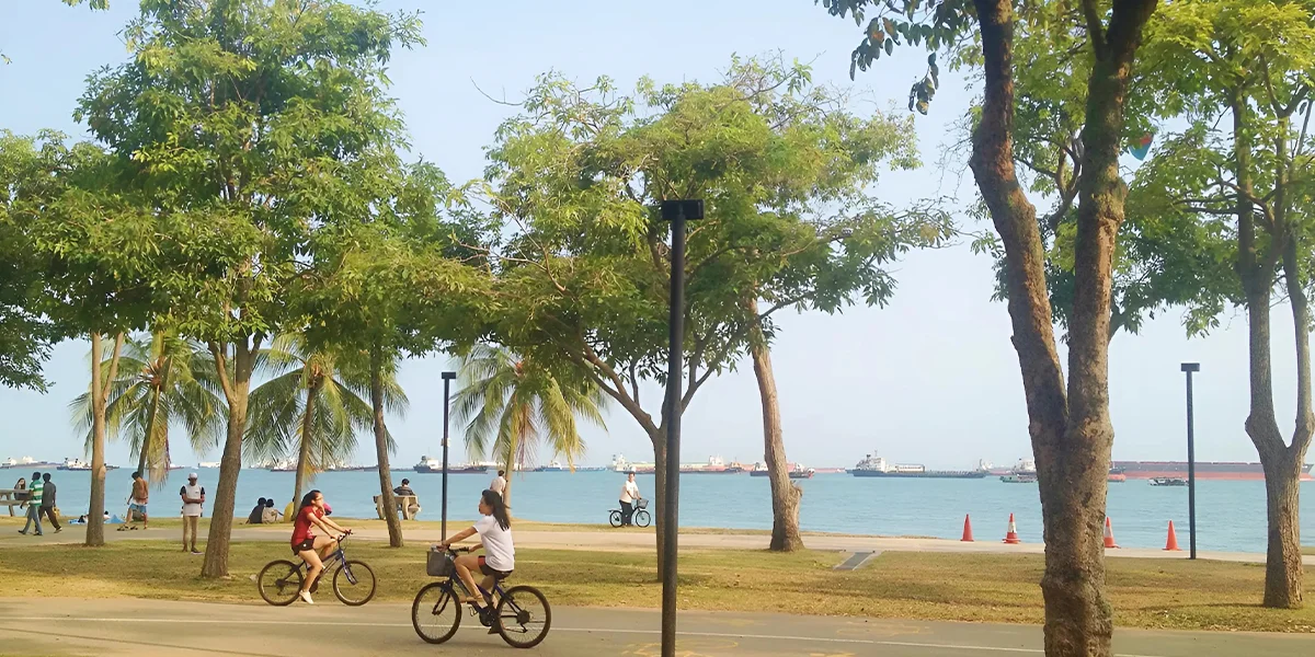 East Coast Park Beach – The All-Rounder