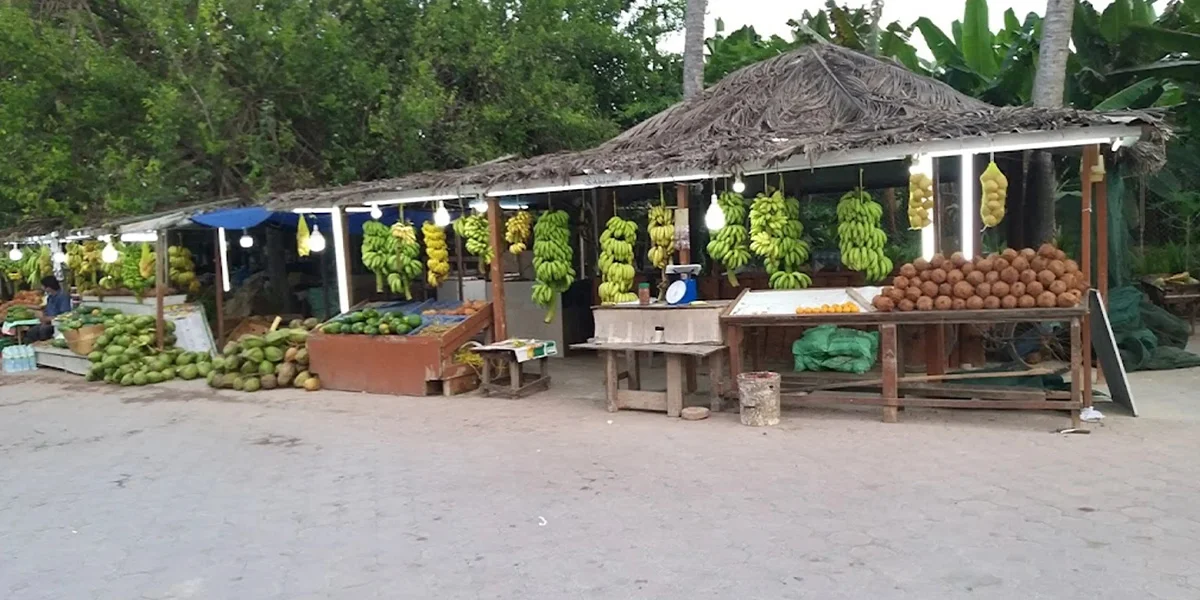 Stroll through Haffa Souq