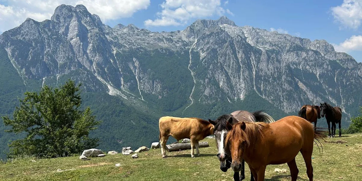 Theth – Alpine Beauty and Adventure