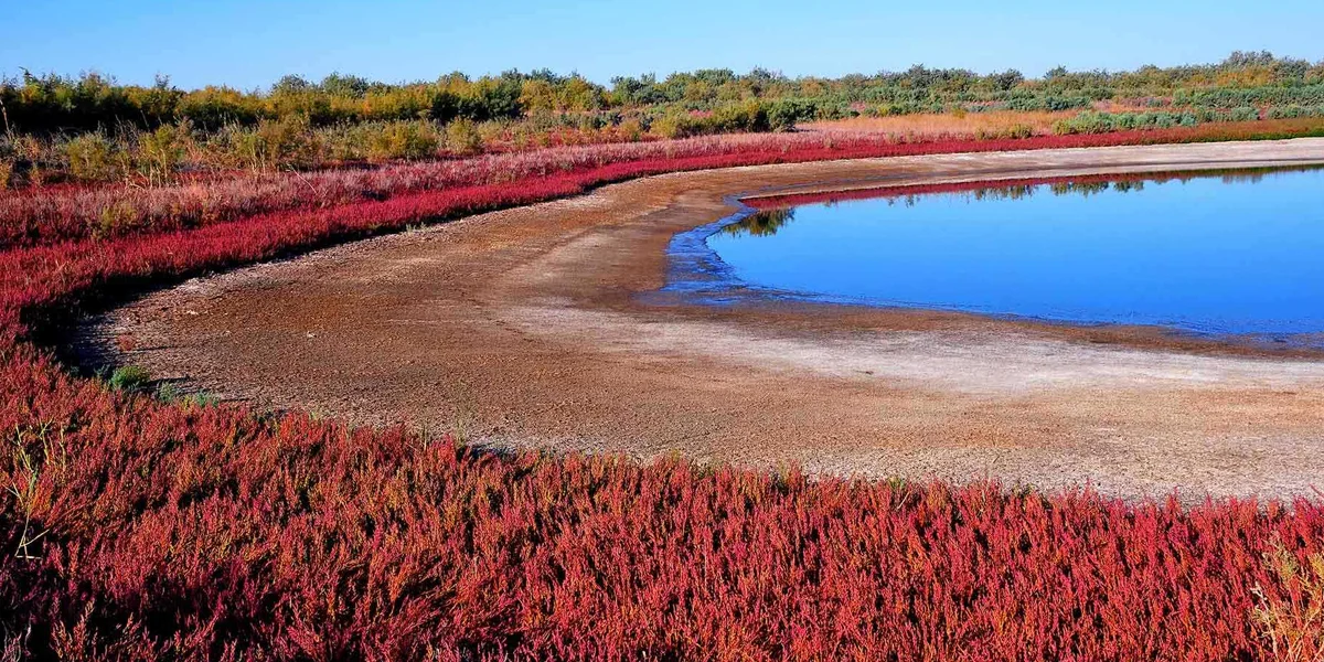 Marvel at the Nuratau Mountains and Aydarkul Lake