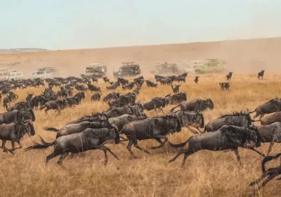 Tourist Attractions to visit in Kenya