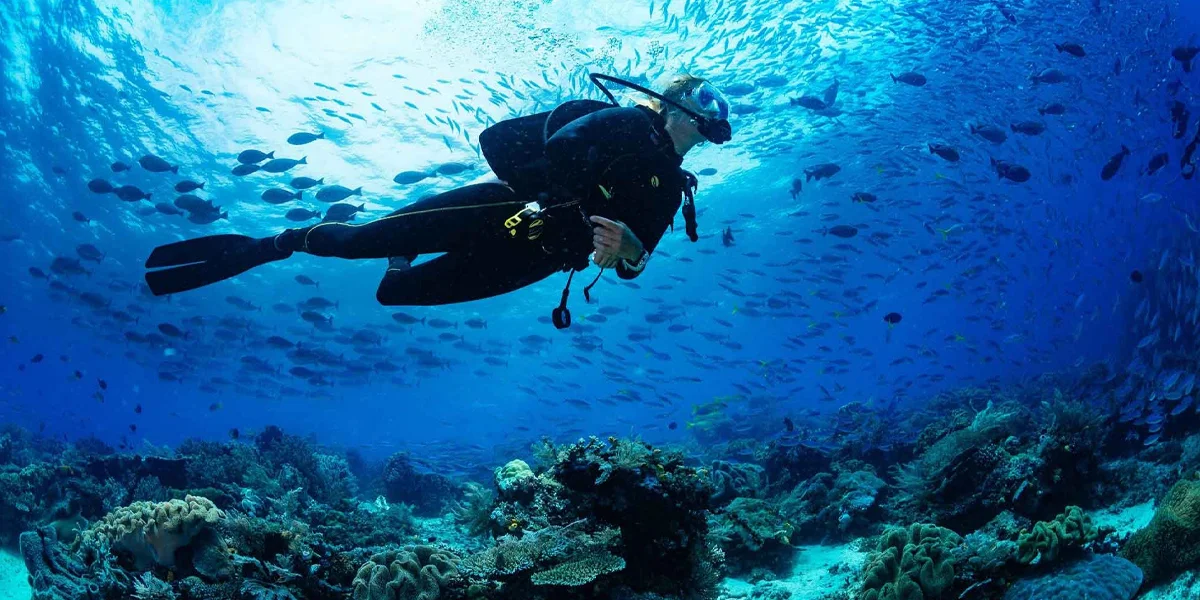 Water Sports to Try in the Bahamas