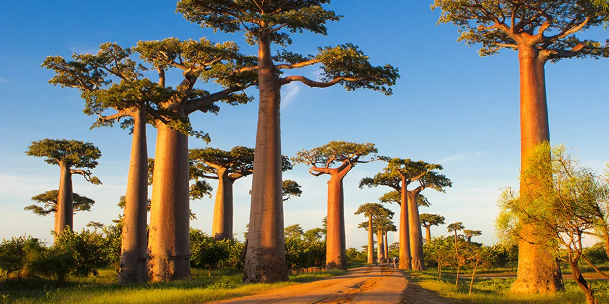must-visit places in Madagascar