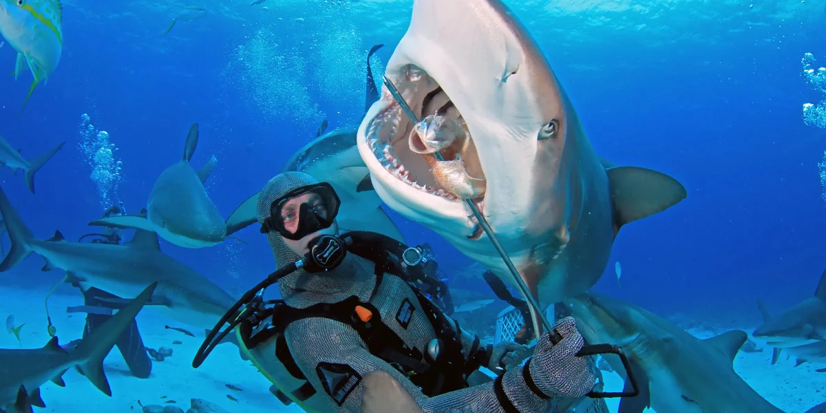 Water Sports to Try in the Bahamas