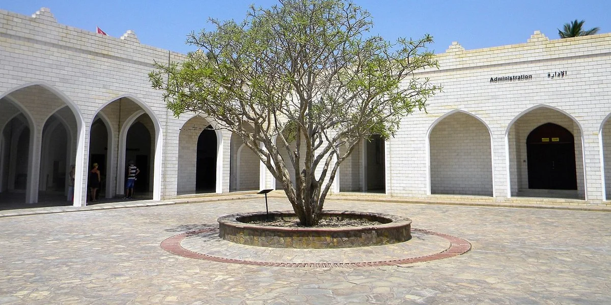 Museums and Cultural Centers to Visit in Salalah