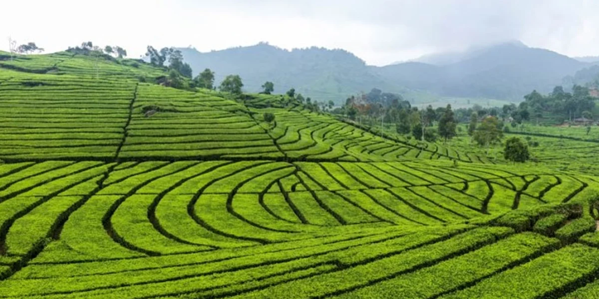 Bandung – The Paris of Java