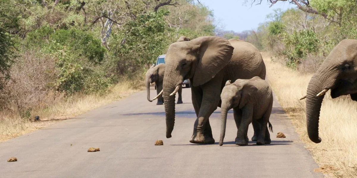 Nelspruit (Mbombela) – Near Kruger National Park