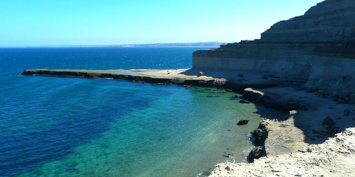 Puerto Madryn – For Wildlife Lovers