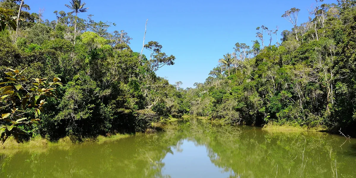 Tourist Attractions in Madagascar