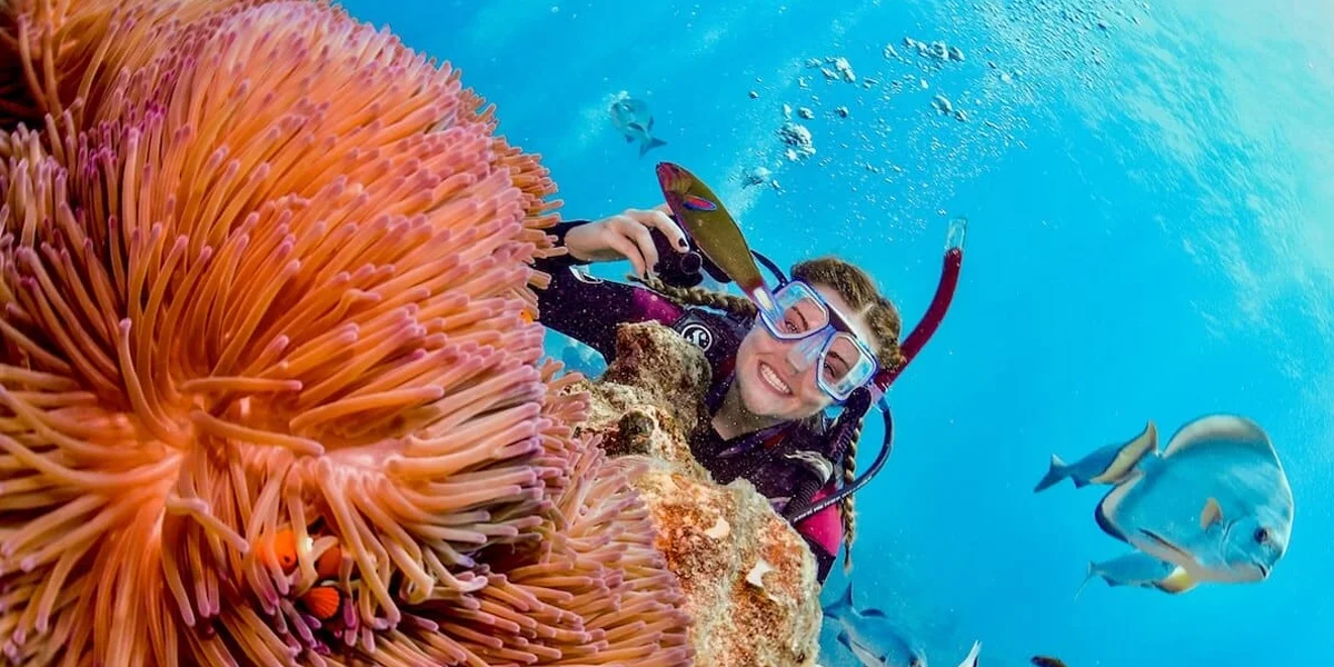 Places to Visit in Australia