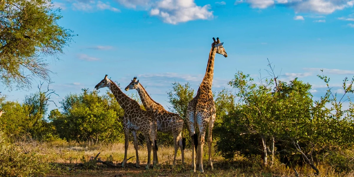 Places to visit in South Africa