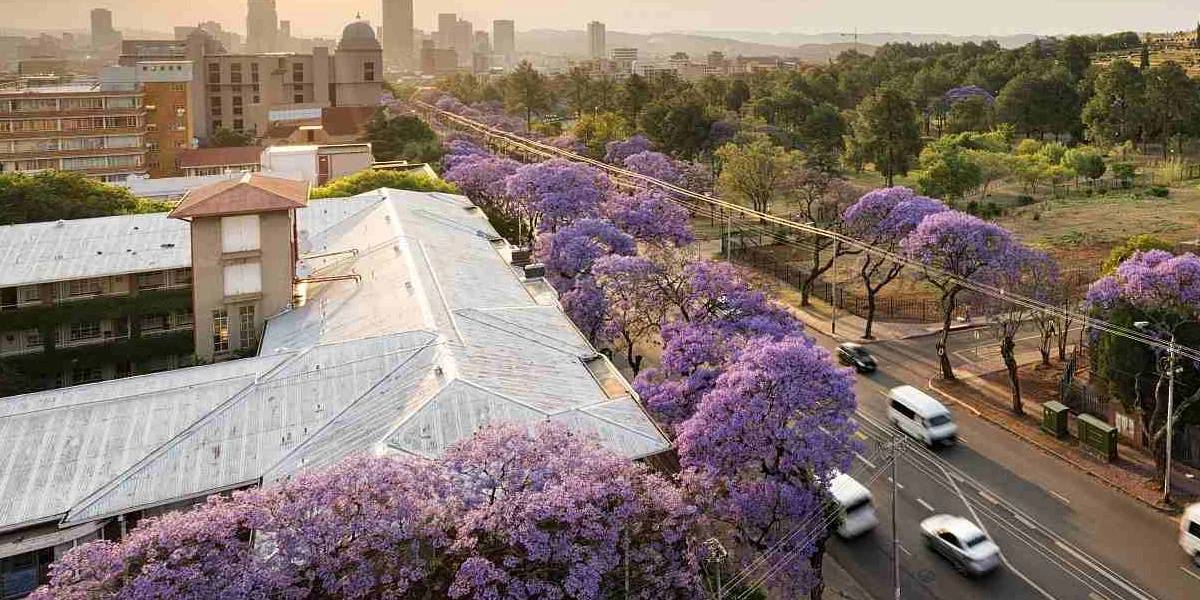 Best Cities to Visit in South Africa