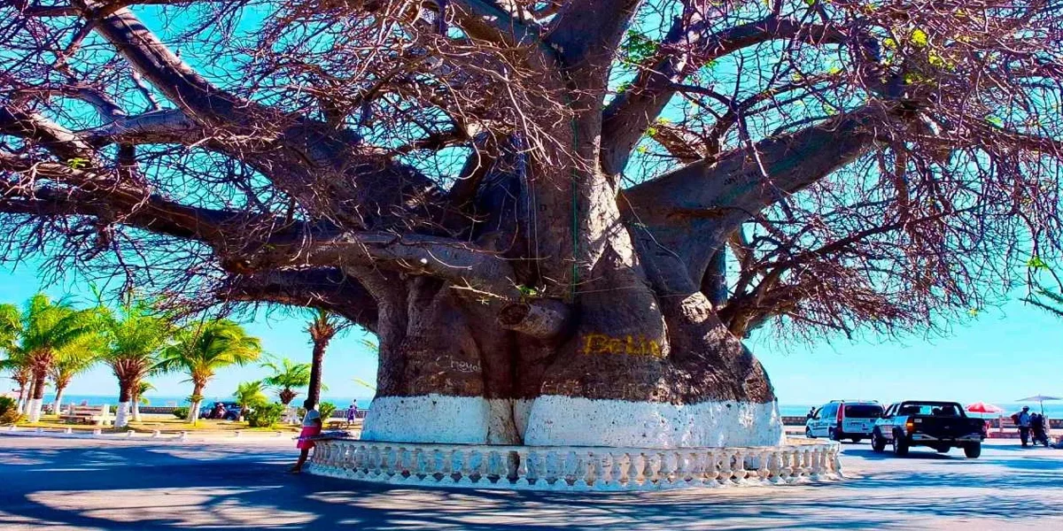 Cities to visit in Madagascar