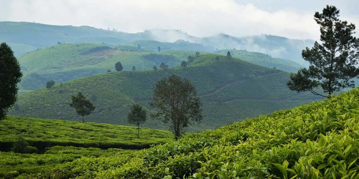 7. Lankaran – The Lush Southern Coast