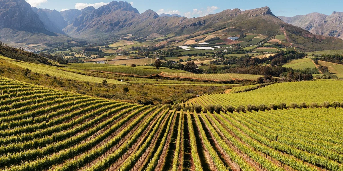 Stellenbosch – Wine Country Charm