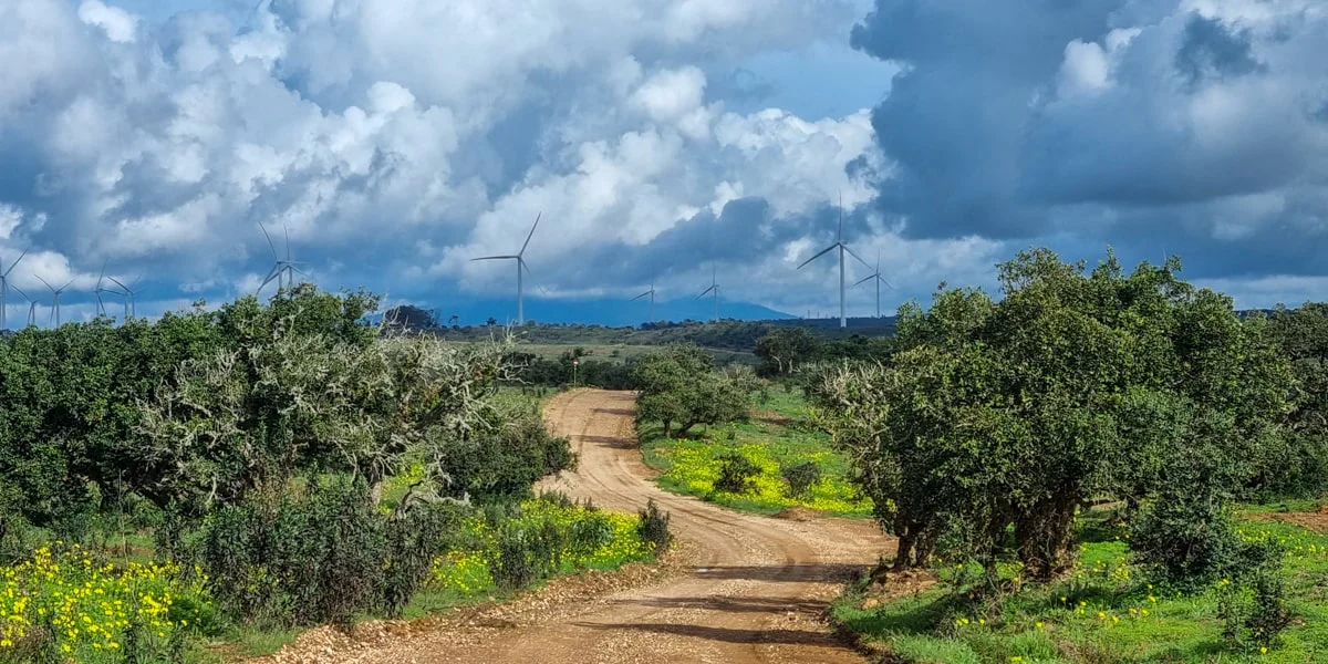 The Via Algarviana (Across the Algarve)