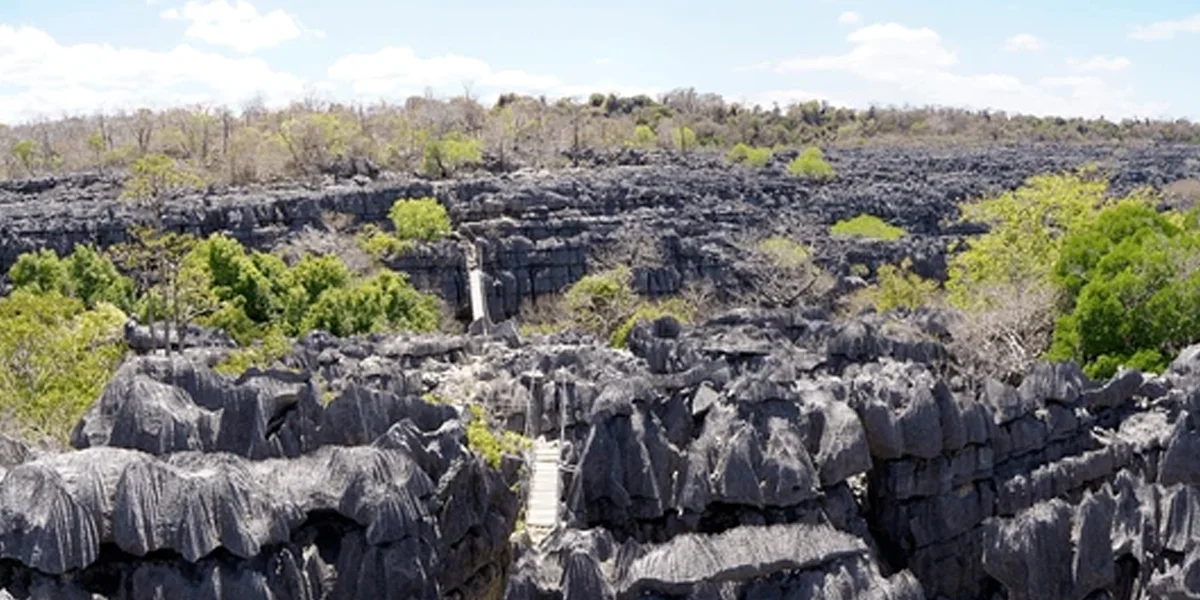 Ankarana Reserve