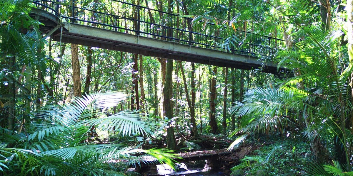 Cairns — Adventure and Nature