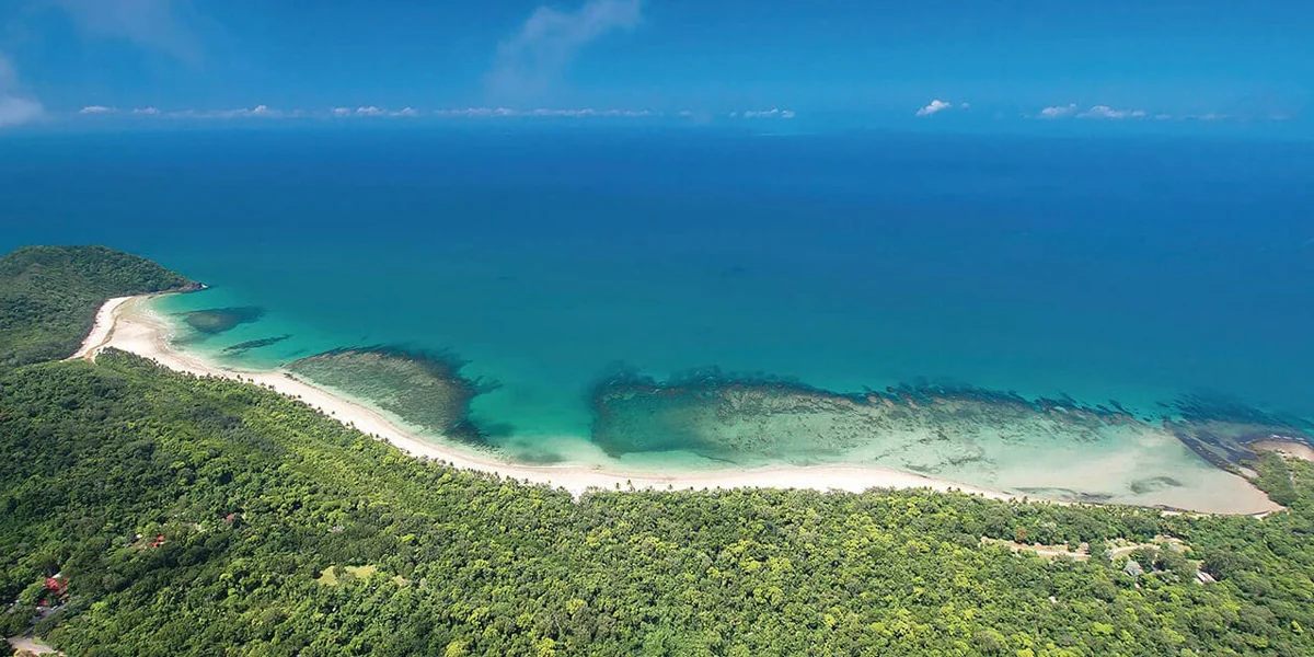 Daintree Rainforest