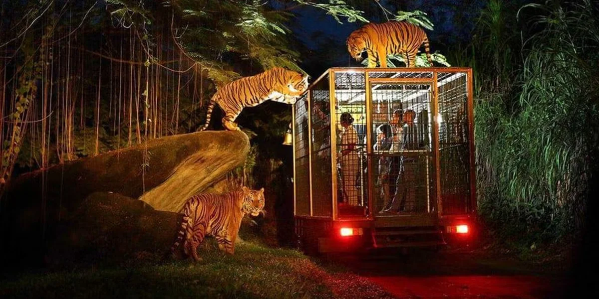 9. Singapore Zoo & Night Safari