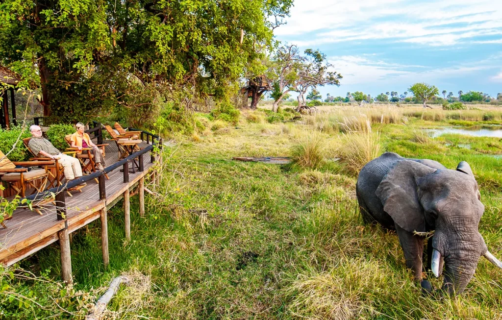 Botswana Tour Packages
