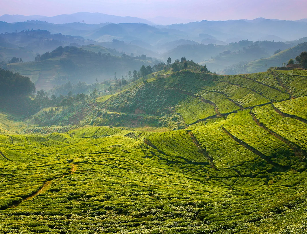 Rwanda