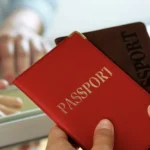 Apply for a South Africa visitor Visa