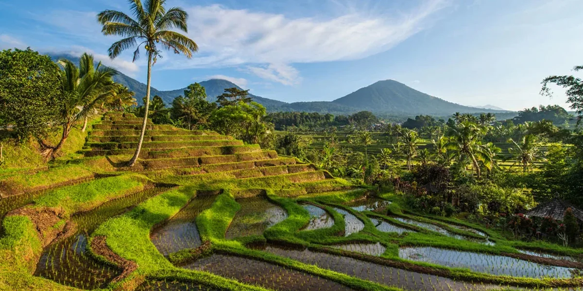 Best Places to Visit in Indonesia