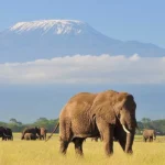 Best Places to Visit in Kenya