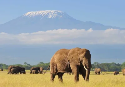 Best Places to Visit in Kenya