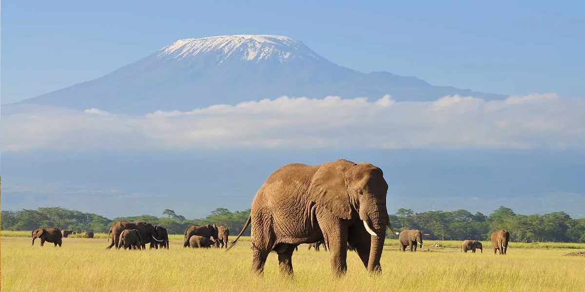 Best Places to Visit in Kenya