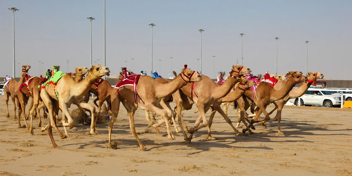 Umm Salal – Rich in History