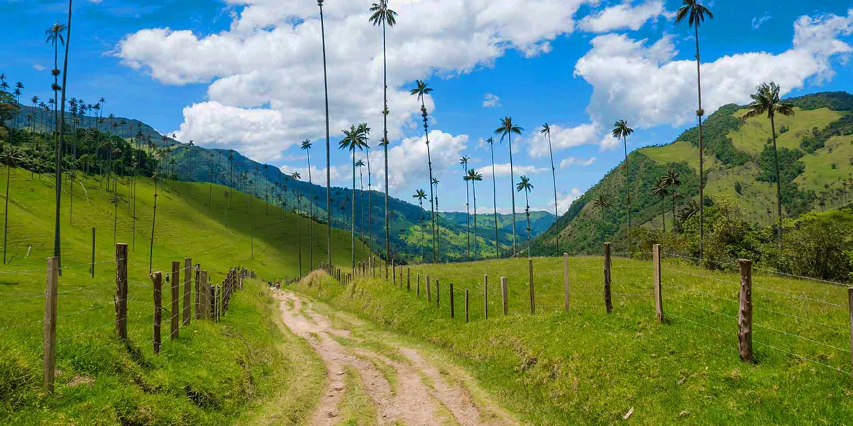 Coffee Cultural Landscape Pereira